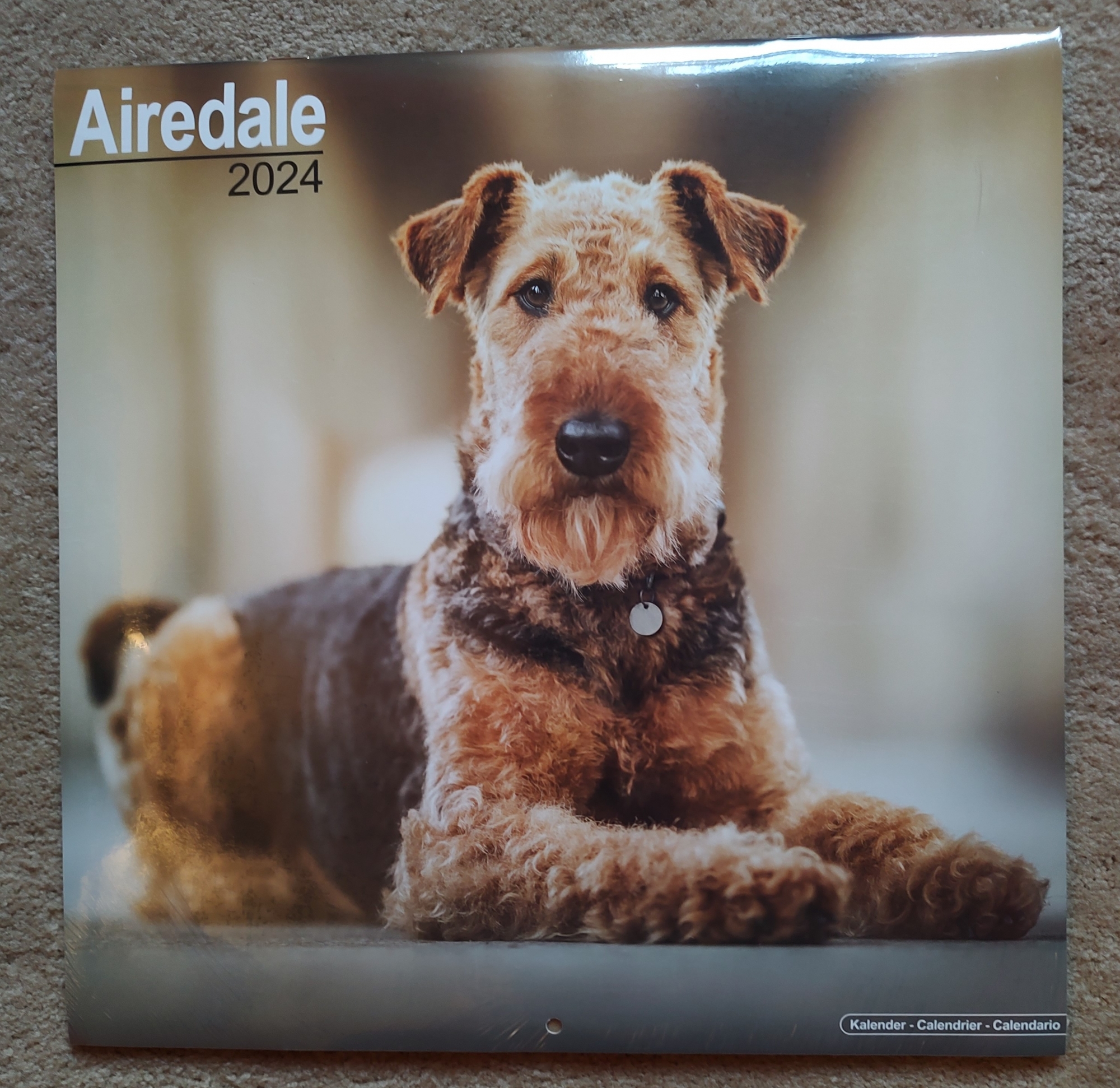 ATRA Airedale Terrier Rescue & Adoption Finding loving homes one